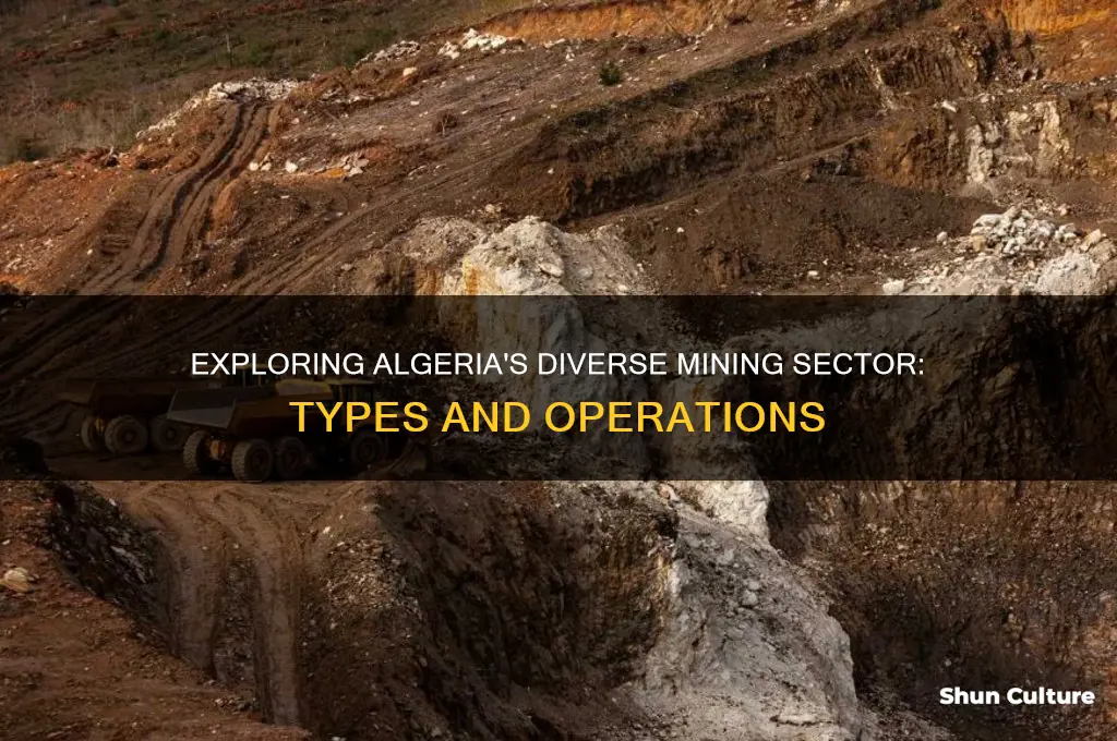 what kind of mining is done in algeria