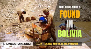 Mining in Bolivia: Exploring the Country's Rich Natural Resources