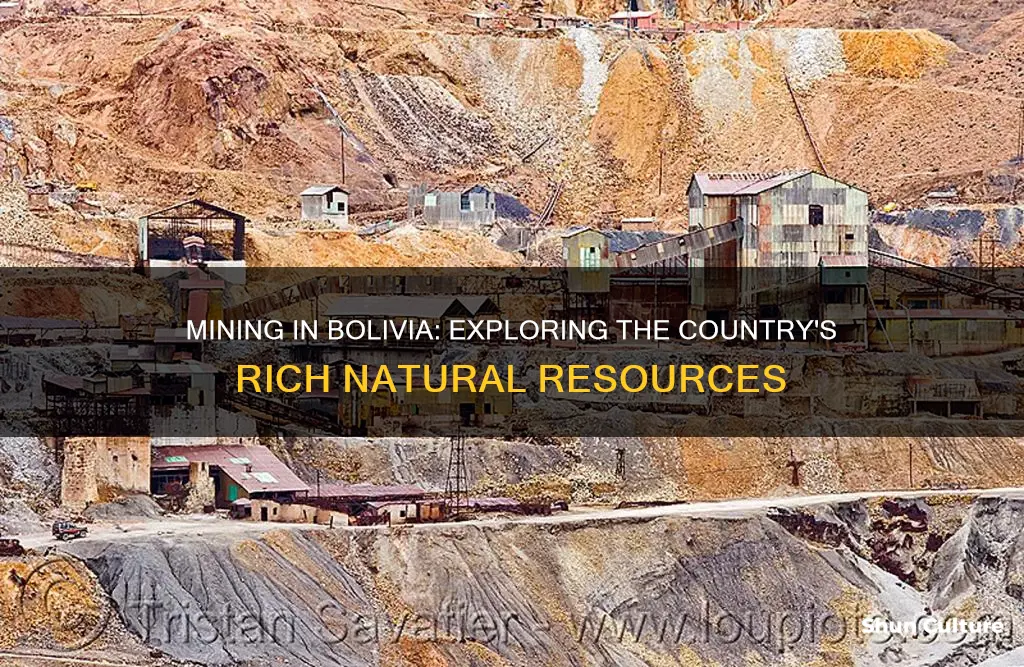 what kind of mining is found in bolivia