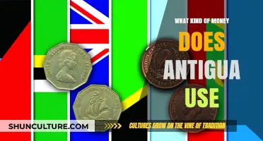 Currency in Antigua: Understanding the Eastern Caribbean Dollar Usage