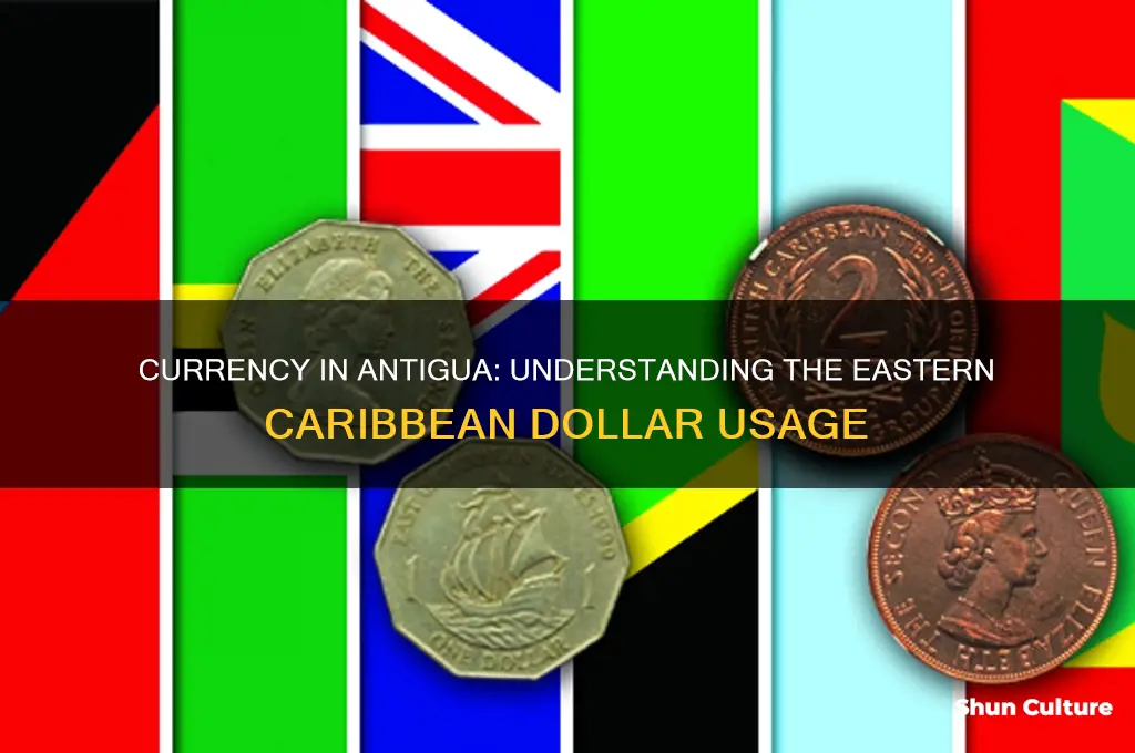 what kind of money does antigua use