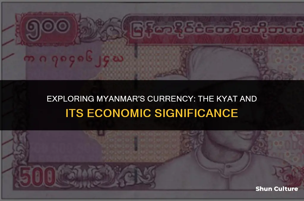 what kind of money does burma use