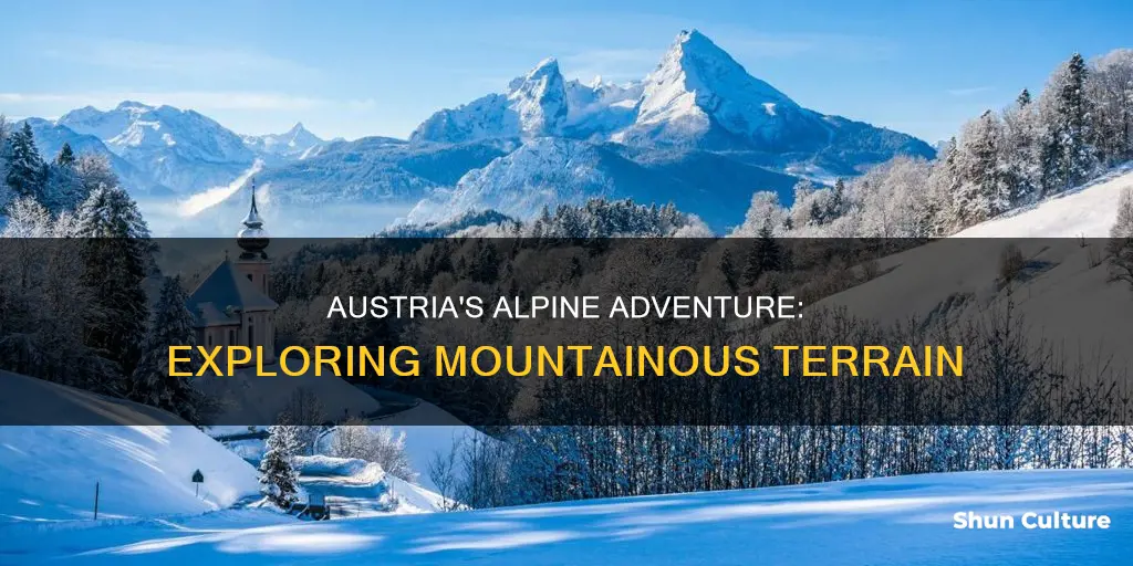 what kind of mountains are in austria