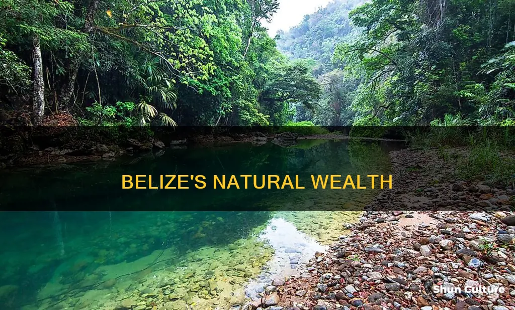 what kind of natural resources does belize have