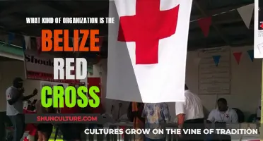 Belize Red Cross: A Humanitarian Organization