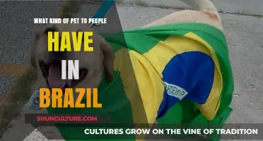 Popular Pets in Brazil: Exploring the Country's Favorite Animal Companions