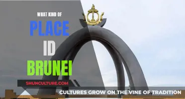 The Hidden Gem: Brunei's Unique Charm and Character