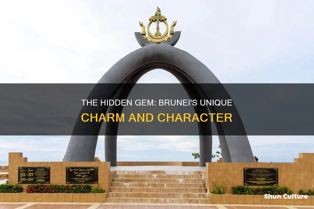 what kind of place id brunei