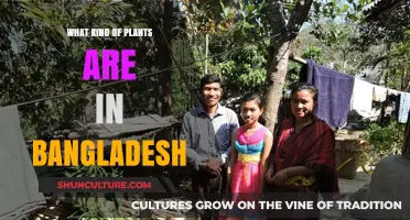 Exploring Bangladesh's Diverse Flora: A Guide to Native Plants
