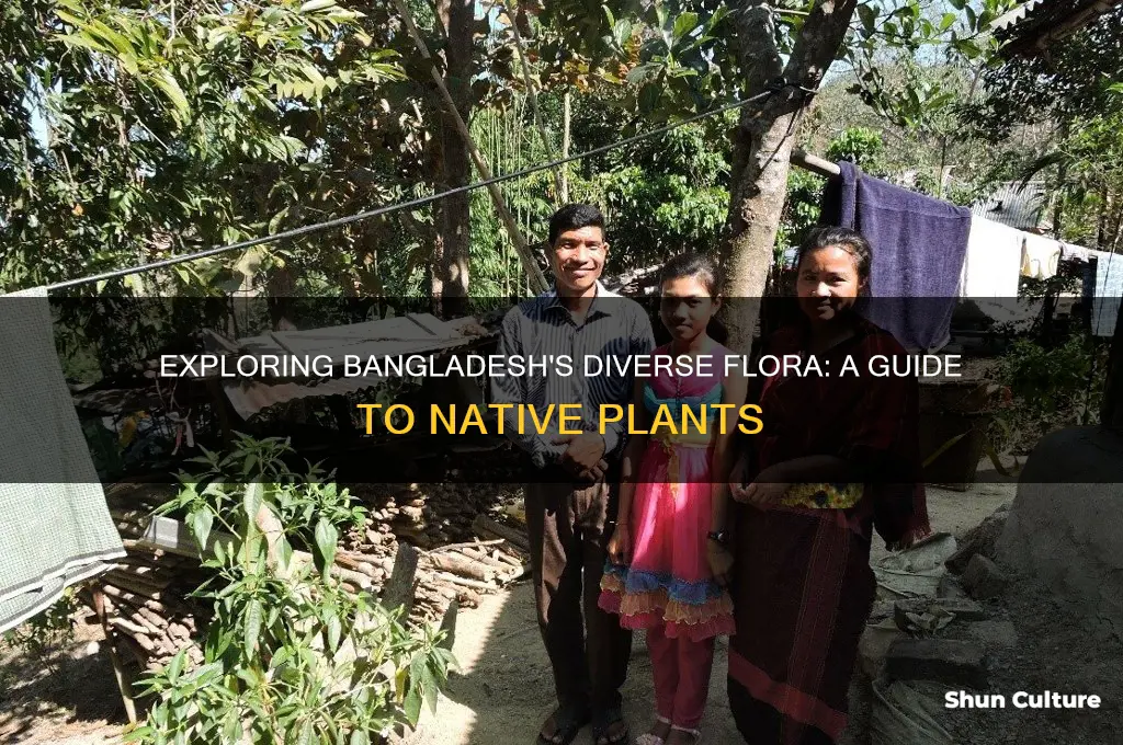 what kind of plants are in bangladesh