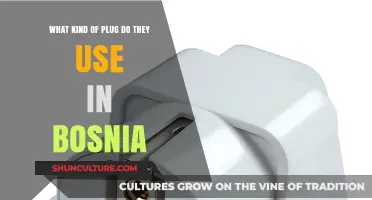 Bosnia's Electrical Outlets: Understanding the Plug Types Used in the Country