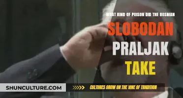 Slobodan Praljak's Final Act: Unveiling the Poison He Consumed