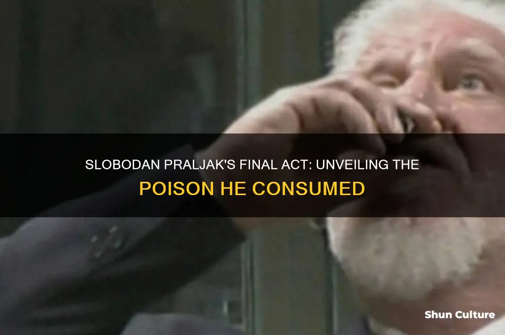 what kind of poison did the bosnian slobodan praljak take