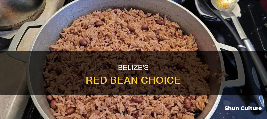 what kind of red beans do they use in belize