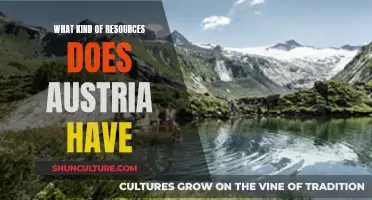 Austria's Treasures: Unveiling Natural and Cultural Resources