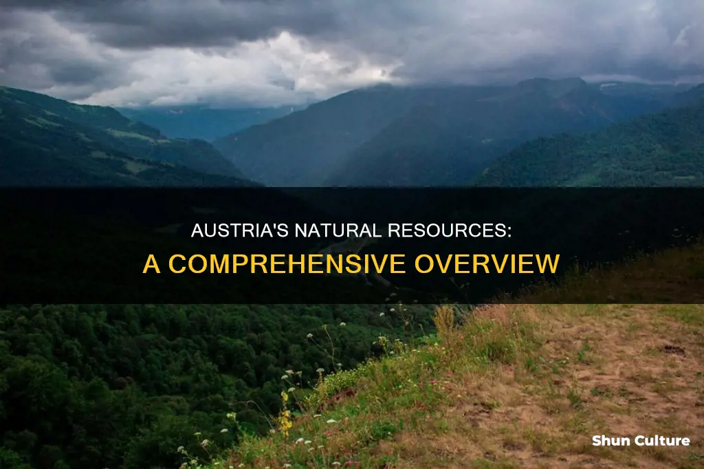 what kind of resources does austria have