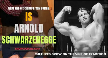 Arnold Schwarzenegger's Schnaps: A Taste of Austrian Traditions