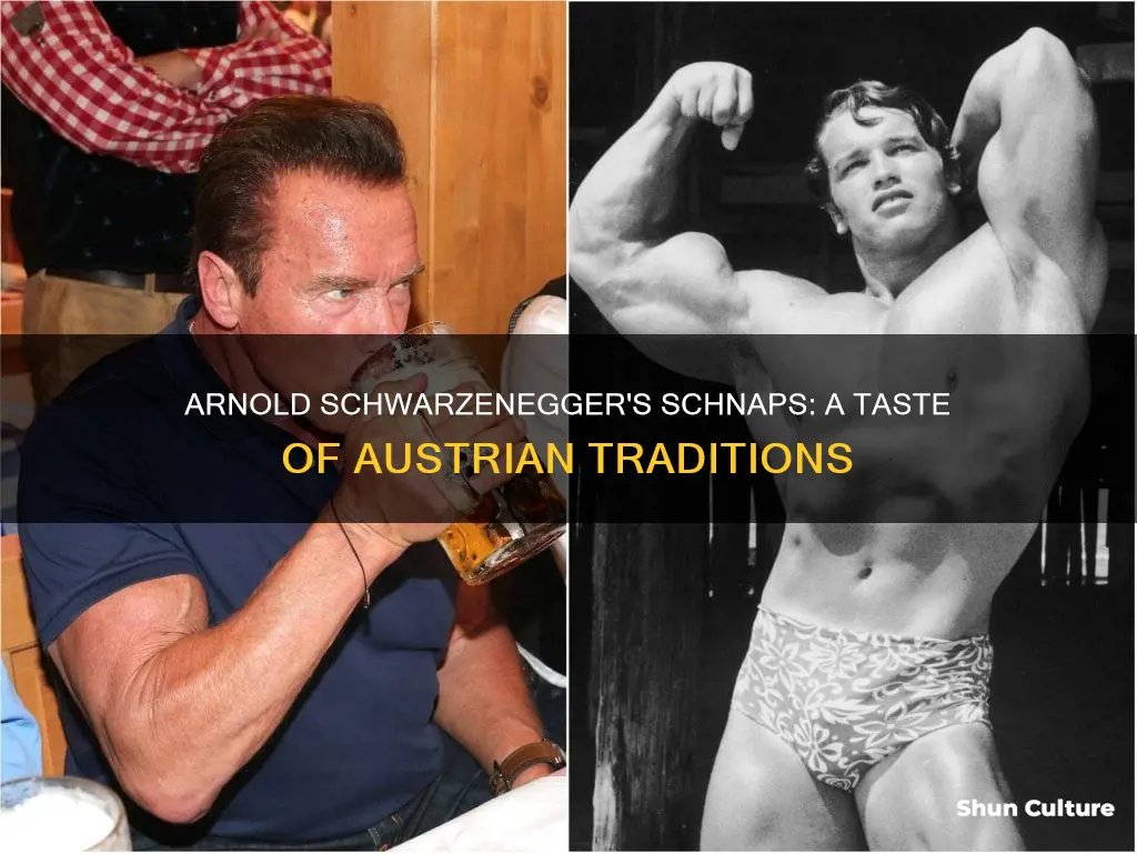 what kind of schnapps from austria is arnold schwarzenegger