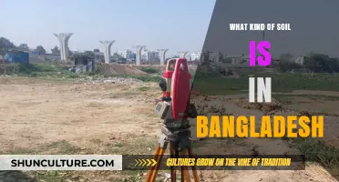 Exploring Bangladesh's Diverse Soil Types and Their Agricultural Impact