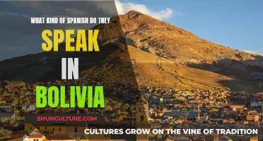 Exploring the Unique Spanish Dialect of Bolivia