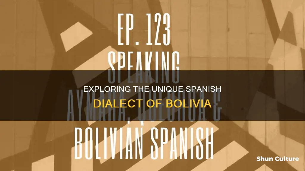 what kind of spanish do they speak in bolivia