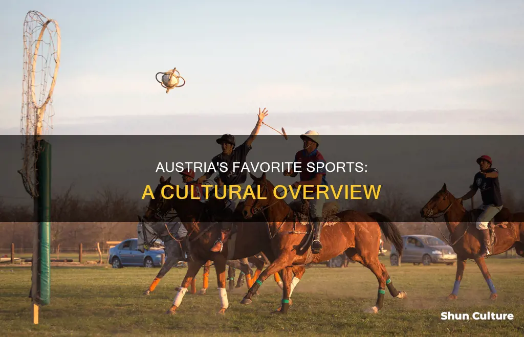 what kind of sports are played in austria