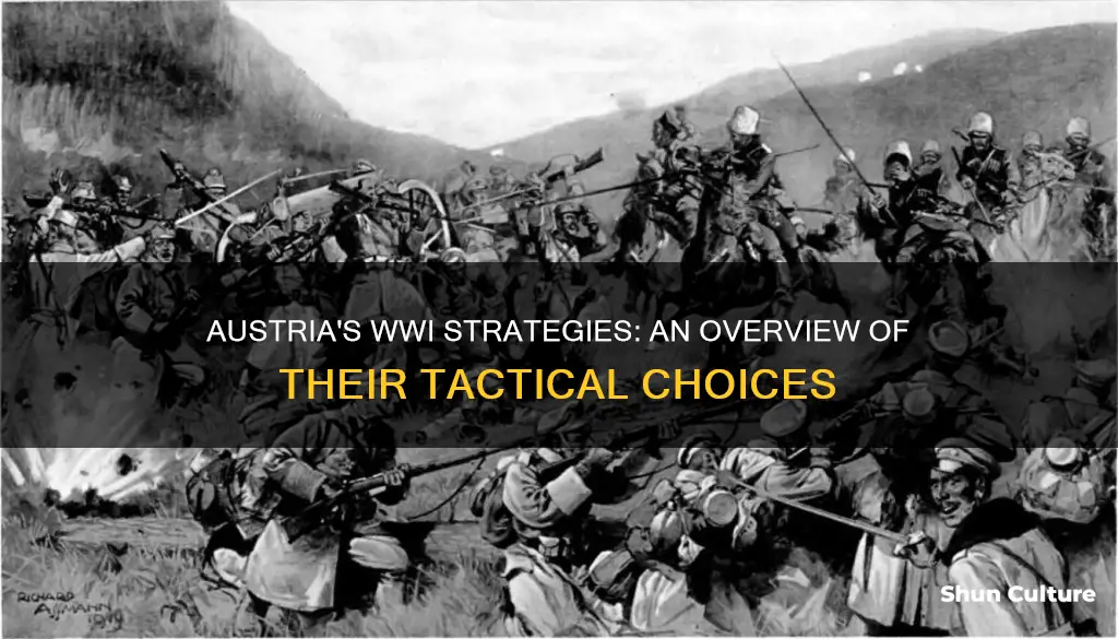 what kind of tactics did austria use in ww1