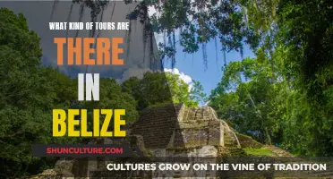 Belize's Adventure Tours: A Guide