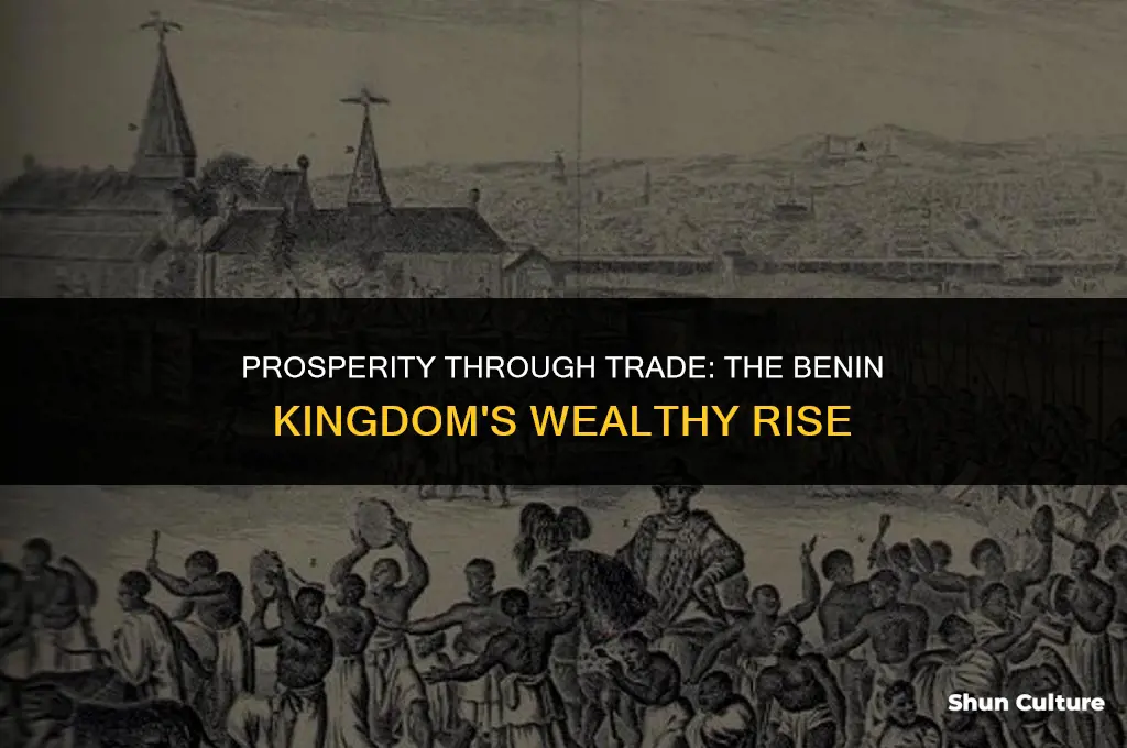 what kind of trade made the benin kingdom wealthy