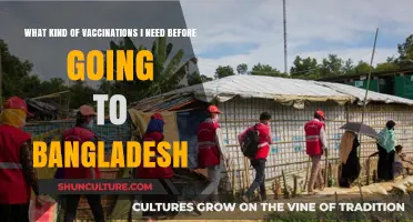 Essential Vaccinations for Safe Travel to Bangladesh: Your Health Guide