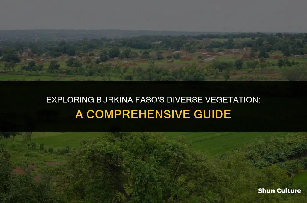 what kind of vegetation in burkina faso