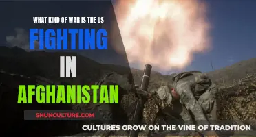 The Changing Nature of Warfare: America's Experience in Afghanistan