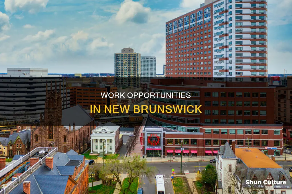 what kind of work can I find in new brunswick