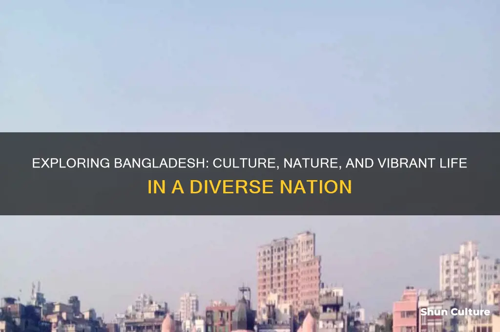 what kind of world is bangladesh