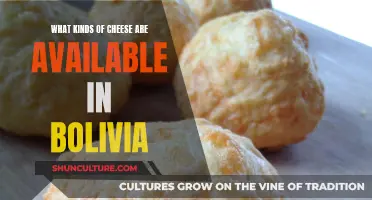 Exploring Bolivia's Cheese Specialties: A Cultural Adventure