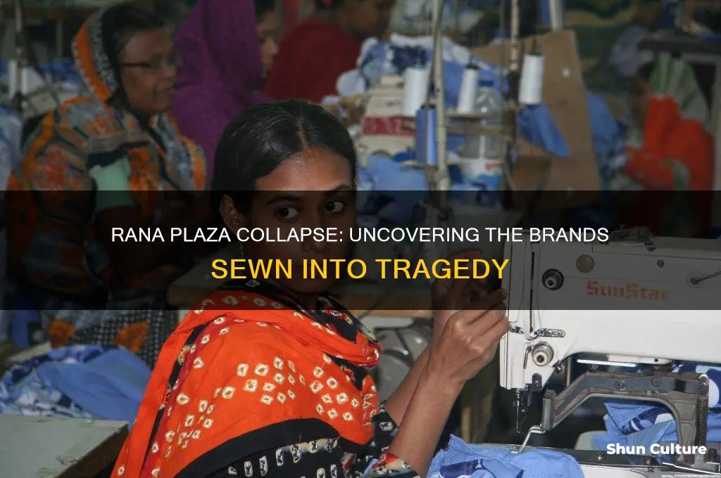 what labels were sewn at the rana plaza collapse bangladesh