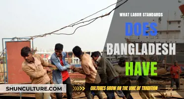 Exploring Bangladesh's Labor Standards: Rights, Regulations, and Workplace Practices