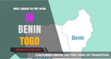 Exploring the Linguistic Landscape: Languages Spoken in Benin and Togo