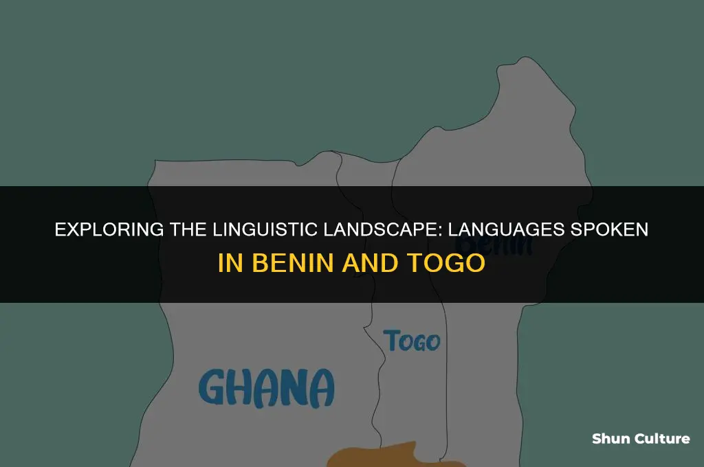 what lanaque do they speak in benin togo