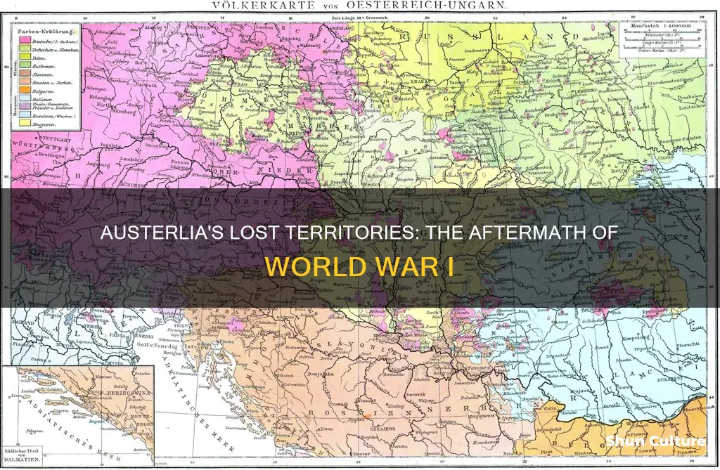 what land did austria lose after ww1