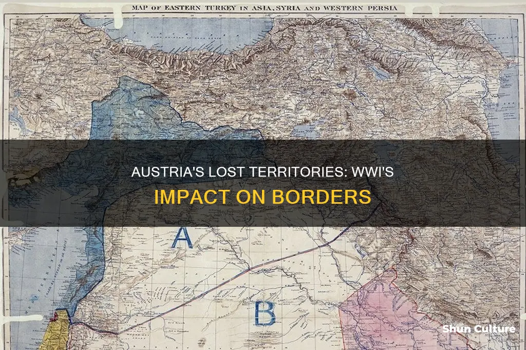 what land did austria lose after ww1