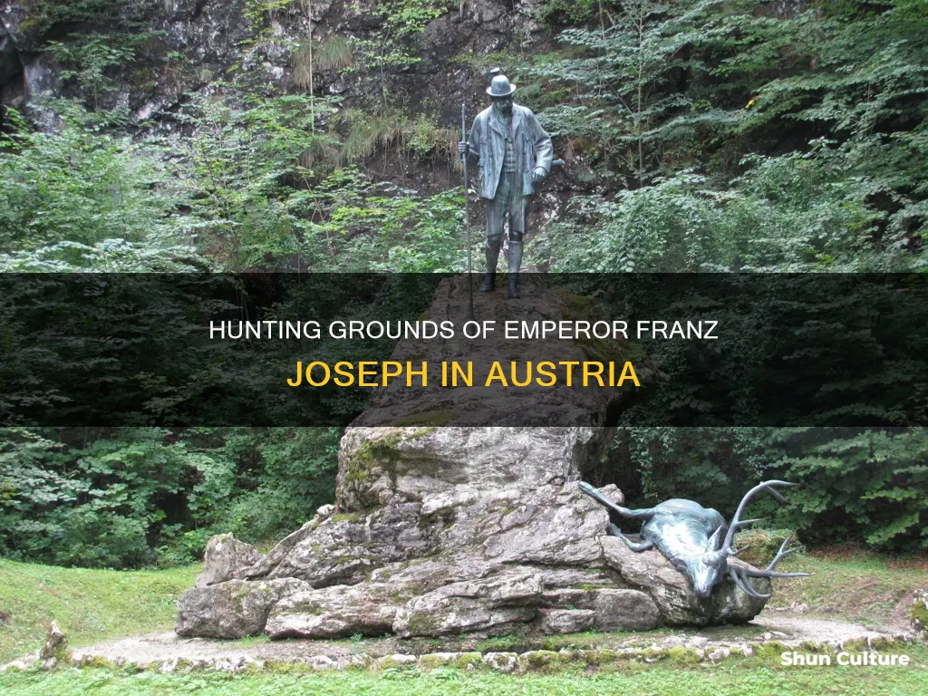 what land did franz joseph hunt in austria