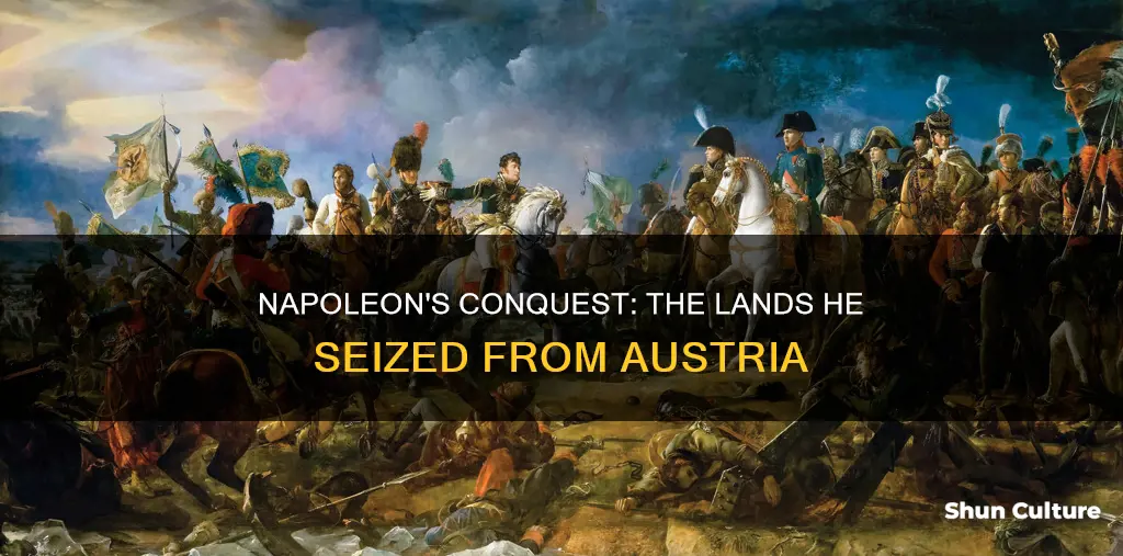 what land did napoleon take from austria