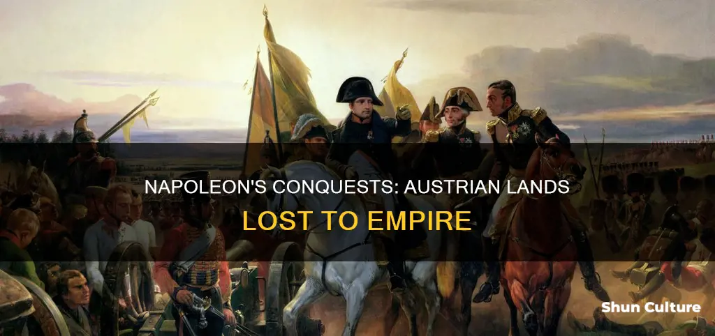 what land did napoleon take from austria