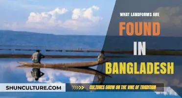 Exploring Bangladesh's Diverse Landforms: Rivers, Plains, and Hills