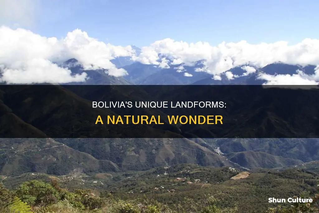 what landforms are in bolivia