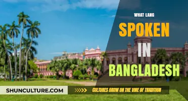Discover the Official Language and Dialects Spoken in Bangladesh