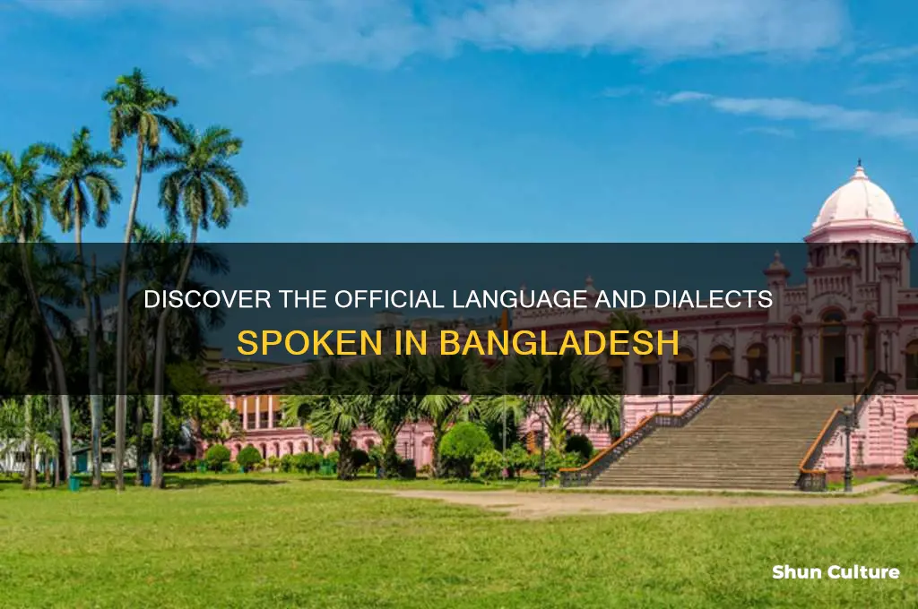 what lang spoken in bangladesh