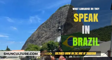 What Language Do They Speak in Brazil? Exploring Portuguese and Beyond