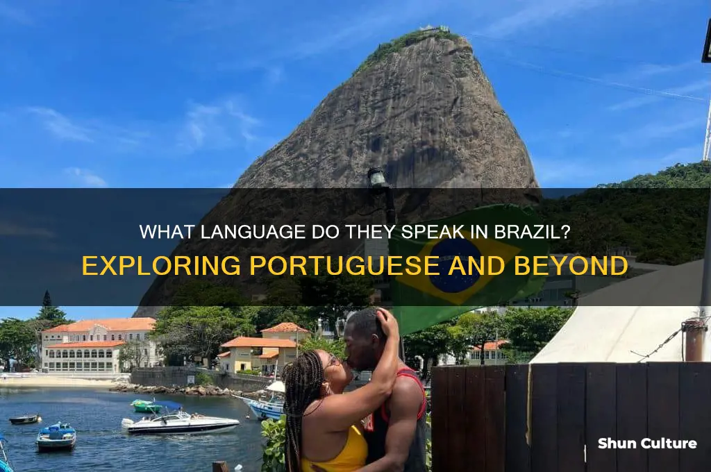 what langauge do they speak in brazil